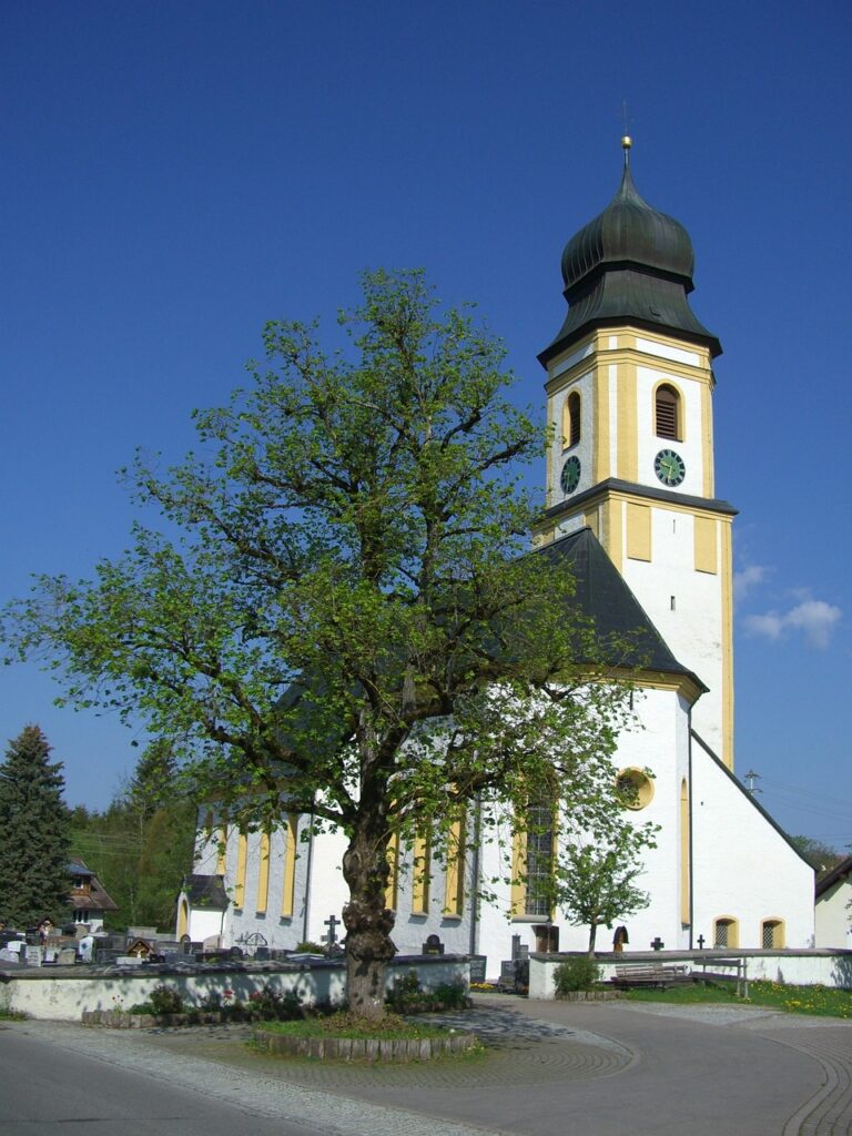 petersthal, church, peace linden tree-244659.jpg
